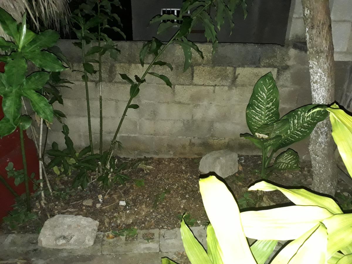 El Chac Mool Bed & Breakfast Santa Elena Exterior foto