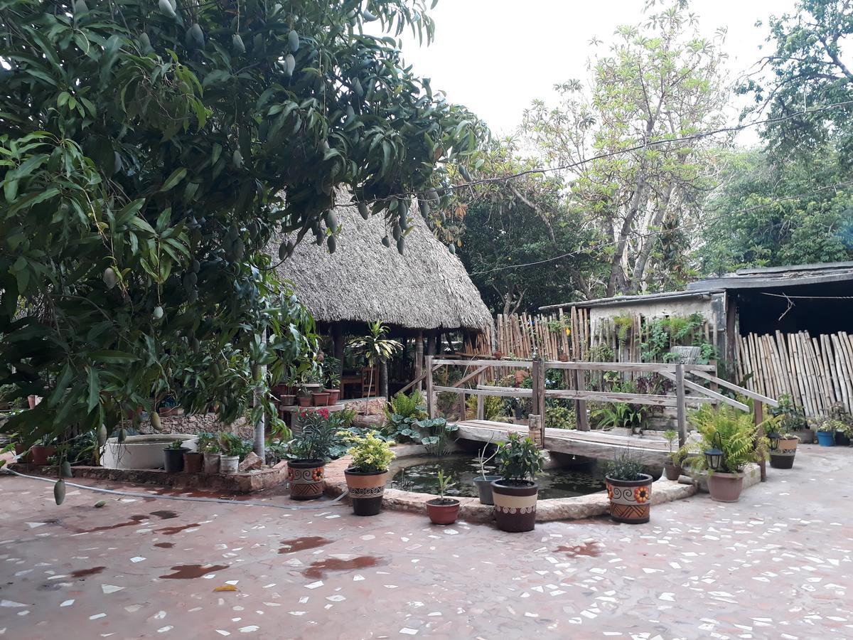 El Chac Mool Bed & Breakfast Santa Elena Exterior foto