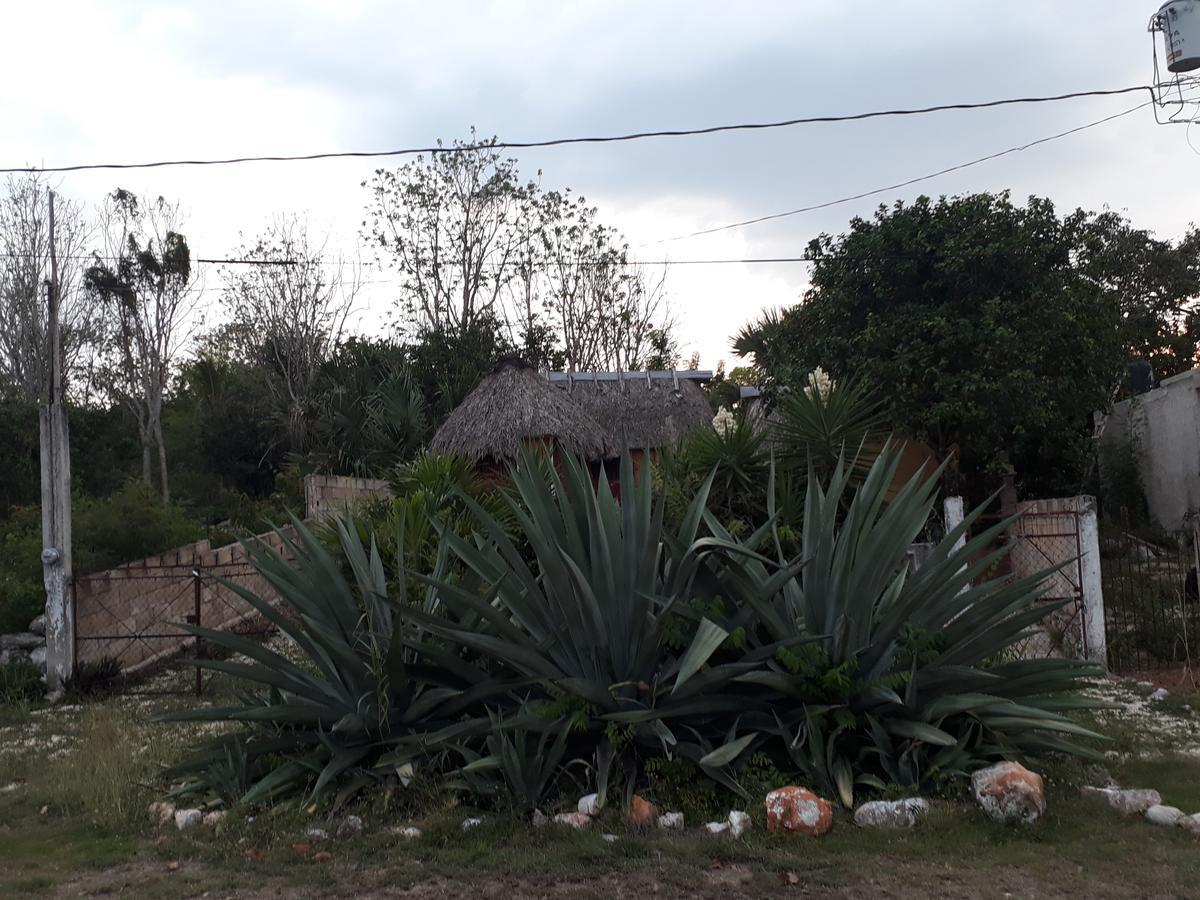 El Chac Mool Bed & Breakfast Santa Elena Exterior foto